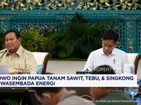 Video: Prabowo Ingin Papua Tanam Sawit, Tebu-Singkong Demi Swasembada