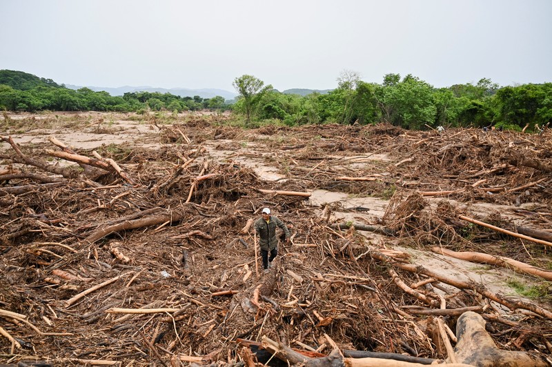 Anggota komunitas dari berbagai desa mencari orang hilang di antara puing-puing kayu setelah banjir yang dipicu oleh luapan sungai di wilayah Santa Cruz timur mengisolasi beberapa komunitas, di El Torno, Bolivia, 16 Desember 2025. (REUTERS/Claudia Morales)