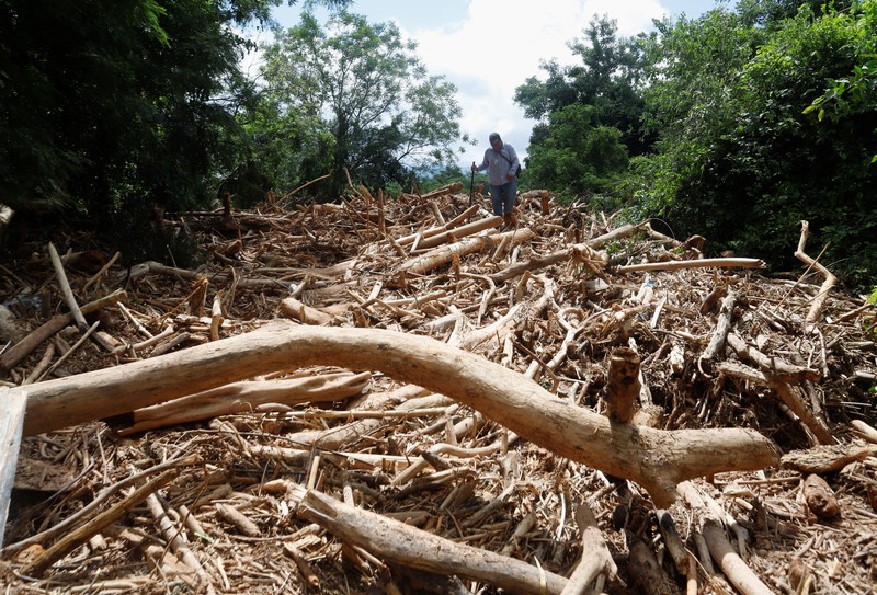 Anggota komunitas dari berbagai desa mencari orang hilang di antara puing-puing kayu setelah banjir yang dipicu oleh luapan sungai di wilayah Santa Cruz timur mengisolasi beberapa komunitas, di El Torno, Bolivia, 16 Desember 2025. (REUTERS/Claudia Morales)