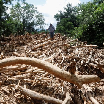 Bukan Sumatra! Potret Ribuan 