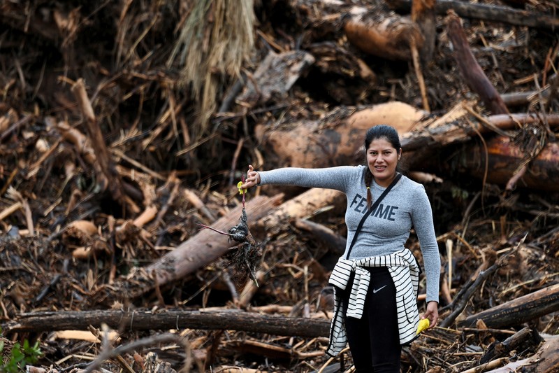 Anggota komunitas dari berbagai desa mencari orang hilang di antara puing-puing kayu setelah banjir yang dipicu oleh luapan sungai di wilayah Santa Cruz timur mengisolasi beberapa komunitas, di El Torno, Bolivia, 16 Desember 2025. (REUTERS/Claudia Morales)