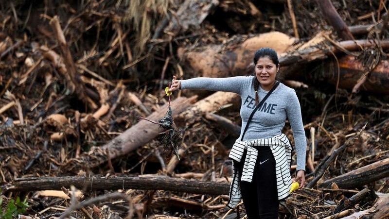 Anggota komunitas dari berbagai desa mencari orang hilang di antara puing-puing kayu setelah banjir yang dipicu oleh luapan sungai di wilayah Santa Cruz timur mengisolasi beberapa komunitas, di El Torno, Bolivia, 16 Desember 2025. (REUTERS/Claudia Morales)