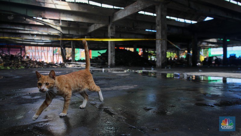 Suasana aktivitas pedagang pasca kebakaran yang melanda Blok C2 di Pasar Induk Kramat Jati, Jakarta, Rabu (17/12/2025). (CNBC Indonesia/Faisal Rahman)