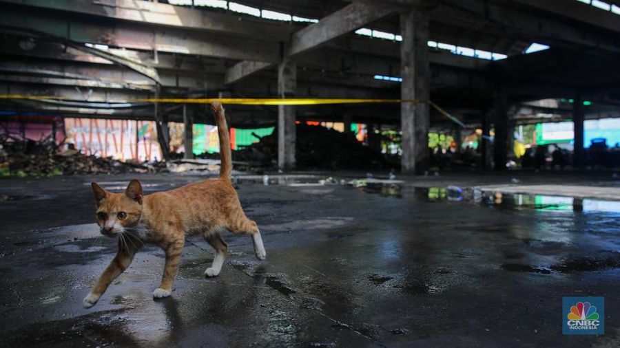 Suasana aktivitas pedagang pasca kebakaran yang melanda Blok C2 di Pasar Induk Kramat Jati, Jakarta, Rabu (17/12/2025). (CNBC Indonesia/Faisal Rahman)