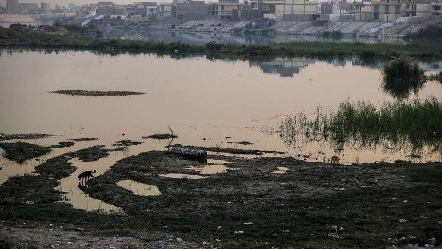 Suasana Sungai Tigris di Baghdad Irak. Negara yang sangat terdampak oleh perubahan iklim, telah dilanda kekeringan dan curah hujan rendah selama bertahun-tahun. (AFP/AHMAD AL-RUBAYE)