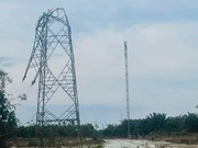 Tampilan salah satu tower transmisi 150 kV Pangkalan Brandan - Langsa di Aceh Tamiang yang terdampak parah oleh bencana banjir (kiri) dan tower darurat (kanan) yang berhasil dibangun untuk memulihkan kembali interkoneksi listrik Sumatra ke Aceh. (Dok