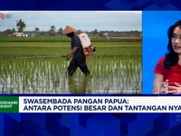 Video: Dorong Papua Swasembada Pangan, Tantangan Ini Harus Selesai