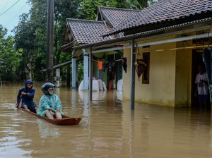 2 Ribu Hektare Sawah Terendam Banjir, Pemprov Banten Siapkan Bantuan Benih