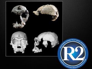 Ahli Rekonstruksi Fosil Wajah Homo Erectus dari 1,5 Juta Tahun Lalu, Ini Hasilnya!