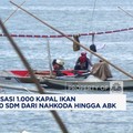 Video: KKP Modernisasi 1.000 Kapal, Butuh 10.900 SDM Nelayan