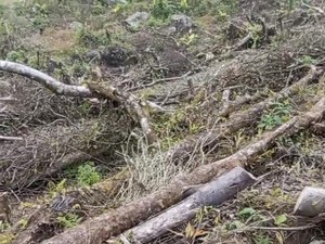 Video Promosi Wisata Gunung Salak Viral, Warga Lokal Geram!