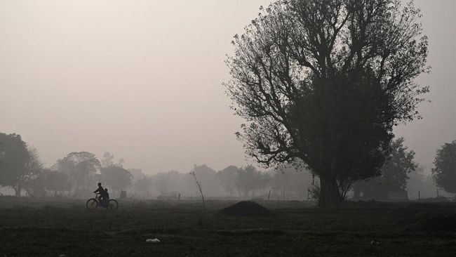 Potret 'Asap Beracun' Kepung Tetangga RI, Pembatasan Ketat Dilakukan