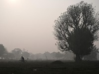 Potret 'Asap Beracun' Kepung Tetangga RI, Pembatasan Ketat Dilakukan