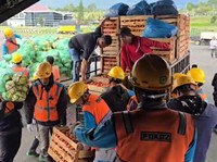 Hercules TNI Angkut Cabai Petani Bener Meriah, 14 Ton Dikirim ke Medan