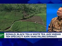 Video: Punya Keunggulan, Black Tea - White Tea Indonesia Diincar Eropa