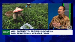 Video: RI Lawan Sri Lanka & India 