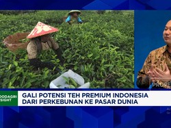 Video: RI Lawan Sri Lanka & India "Kuasai" Pasar Teh Premium Dunia
