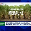 Video: Sederet PR Prabowo Mau Jadikan Papua Swasembada Sagu-Beras