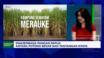 Video: Sederet PR Prabowo Mau Jadikan Papua Swasembada Sagu-Beras