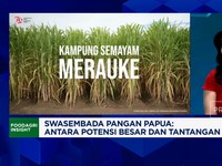 Video: Sederet PR Prabowo Mau Jadikan Papua Swasembada Sagu-Beras