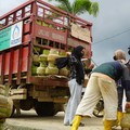 Pertamina Gelar Operasi Pasar 20 Ribu Tabung LPG 3 Kg di Aceh