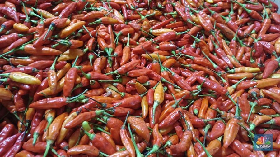 Pantauan harga pangan jelang Nataru di Pasar Rumput, Jakarta, Jumat (19/12/2025). (CNBC Indonesia/Martyasari Rizky)