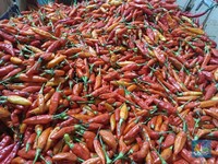 Cabai Myanmar - Gerbong China: Ini 10 Barang Impor RI Paling Melonjak