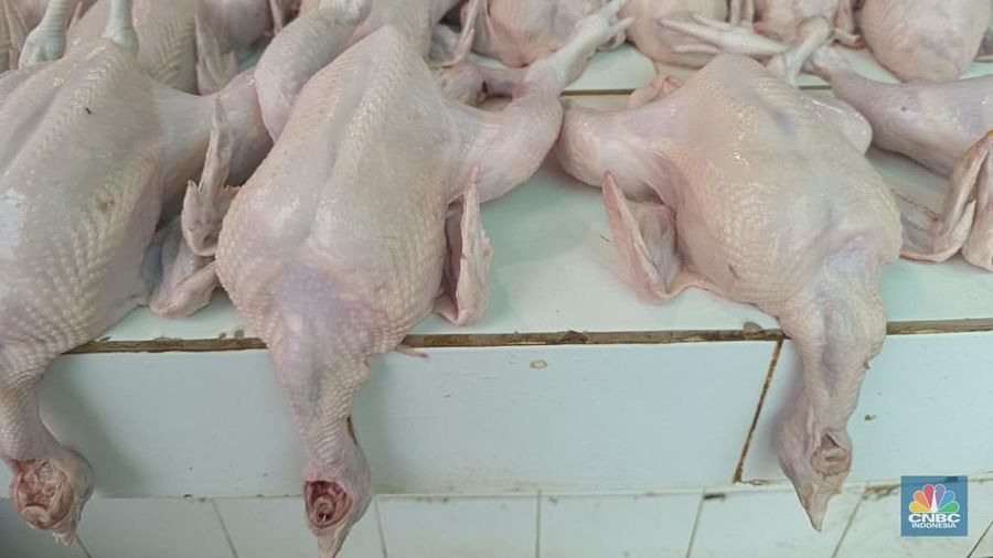 Pantauan harga pangan jelang Nataru di Pasar Rumput, Jakarta, Jumat (19/12/2025). (CNBC Indonesia/Martyasari Rizky)