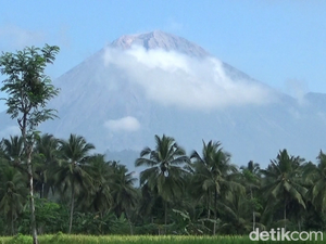 Awal 2026, Gunung Semeru Erupsi Semburkan Kolom Abu 900 Meter