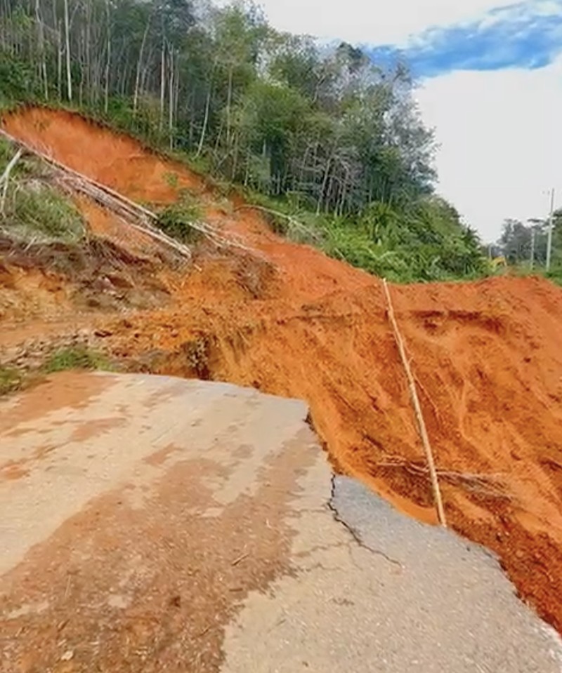 Pembukaan akses jalan di perbatasan Kabupaten Tapanuli Utara&ndash;Tapanuli Tengah guna mempercepat distribusi logistik dan mobilisasi bantuan, Rabu (17/12/2025). (BNPB)