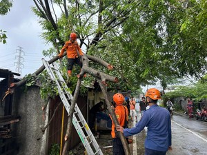 Hujan Disertai Angin Bikin Pohon Tumbang Timpa Warung di Bogor