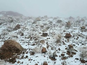 Cuaca Ekstrem Landa Saudi, Salju Selimuti Jabal Al-Lawz