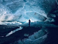 Dunia Terancam, Puncak Kepunahan Tinggal Tunggu Waktu Hantam Bumi