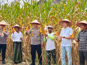 Panen Raya Jagung, Kapolres Inhu Apresiasi Kemandirian Pangan di Ponpes