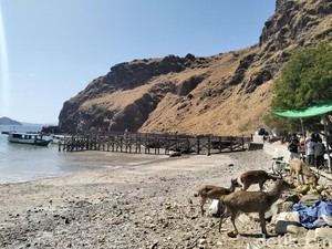 Kapal Wisata Dilarang ke Pulau Komodo pada 29 Mei