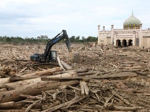 Kayu Gelondongan Diduga Sebabkan Banjir Sumatera, Pakar Ungkap Fakta Ini