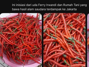 Makanan Perusak Jantung hingga Aksi Netizen Borong Cabai Takengon