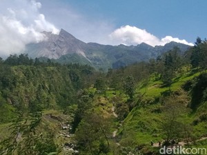 Merapi 3 Kali Muntahkan Awan Panas Pagi Ini
