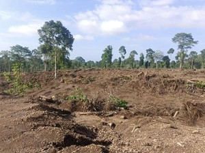 PT AWB Klarifikasi Penguasaan 28 Ribu Hektare Hutan di Gunung Tambora