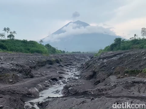 Semeru Kembali Erupsi, Kolom Abu Capai 1.200 Meter