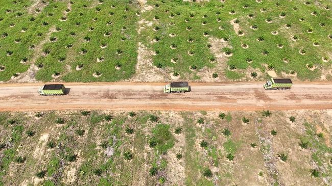 Optimalkan Jalan Khusus Batu Bara, RMKE Layani 3 Customer Baru