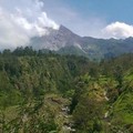 Gunung Merapi Erupsi, Badan Geologi Beri Peringatan Hal Ini