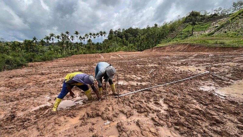 Pekerja tengah menyelesaikan satu unit huntara di Kecamatan Adiankoting, Tapanuli Utara pada Minggu (21/12). (Dok BNPB)