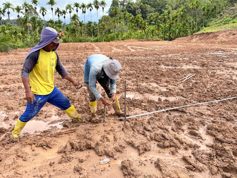 Pekerja tengah menyelesaikan satu unit huntara di Kecamatan Adiankoting, Tapanuli Utara pada Minggu (21/12). (Dok BNPB)