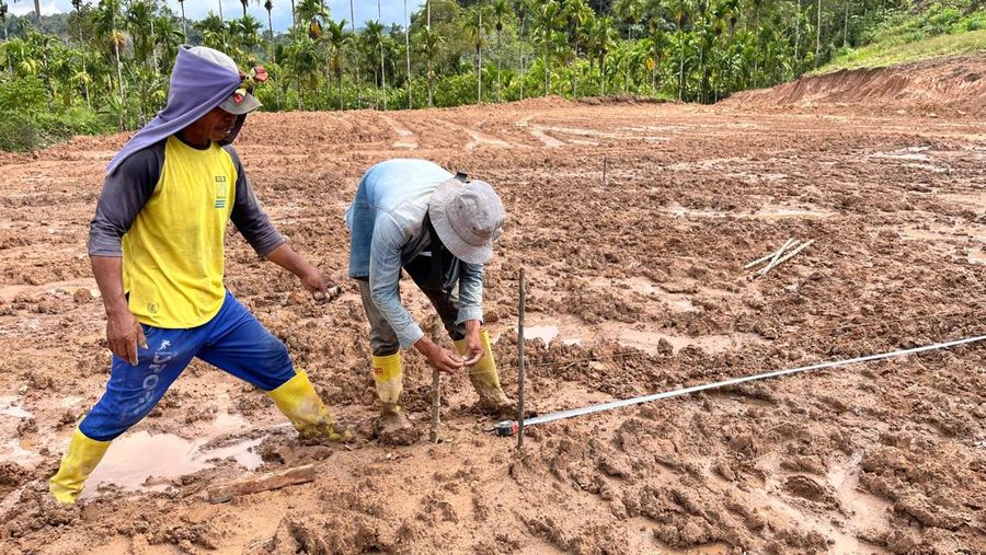Pekerja tengah menyelesaikan satu unit huntara di Kecamatan Adiankoting, Tapanuli Utara pada Minggu (21/12). (Dok BNPB)