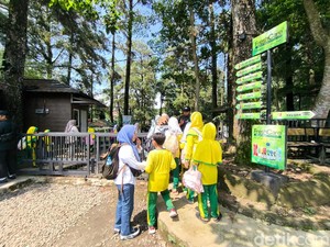 Libur Sekolah, Wisatawan Mulai Serbu Objek Wisata Woodlands Kuningan