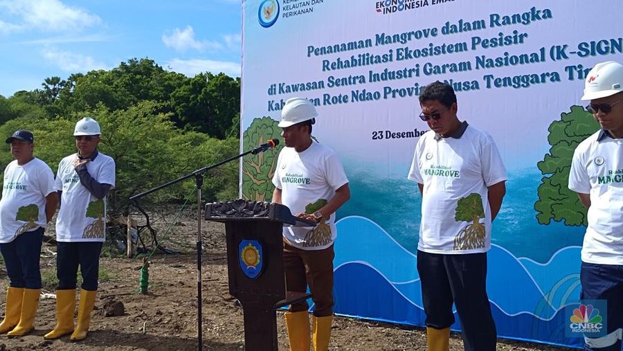 Bupati Rote Ndao, Paulus Henuk saat memberikan sambutannya dalam acara penanaman mangrove bersama masyarakat di Rote Ndao, NTT, Selasa (23/12/2025). (CNBC Indonesia/Martyasari RIzky)