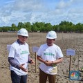 KKP Tanam Mangrove di Lahan Garam Raksasa Rote Ndao, Ini Tujuannya