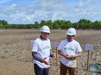 KKP Tanam Mangrove di Lahan Garam Raksasa Rote Ndao, Ini Tujuannya
