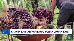 Video: Hashim Bantah Prabowo Punya Lahan Sawit